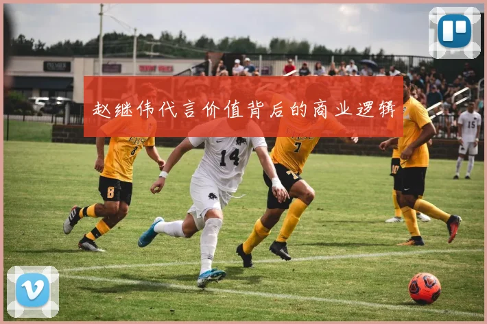 赵继伟代言价值背后的商业逻辑