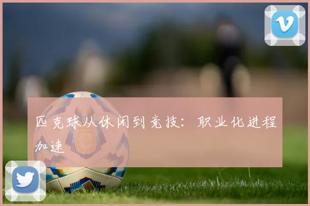 匹克球从休闲到竞技：职业化进程加速